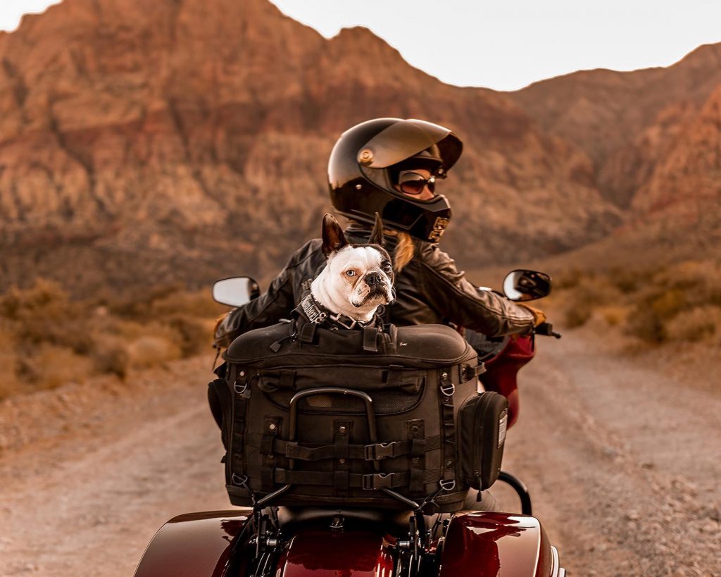 motorcycle in the desert